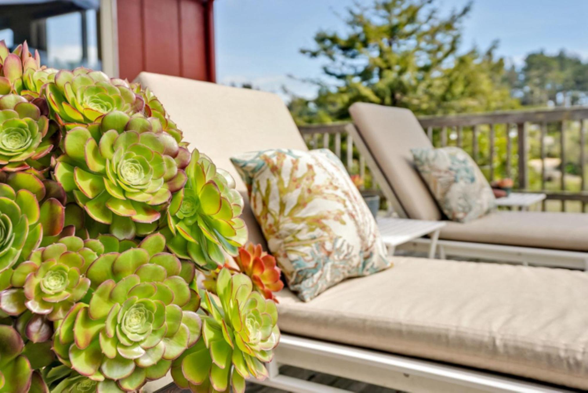 Bodega Bay Inn 3* Bodega Bay