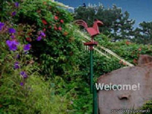 Bodega Bay Inn 3* Bodega Bay