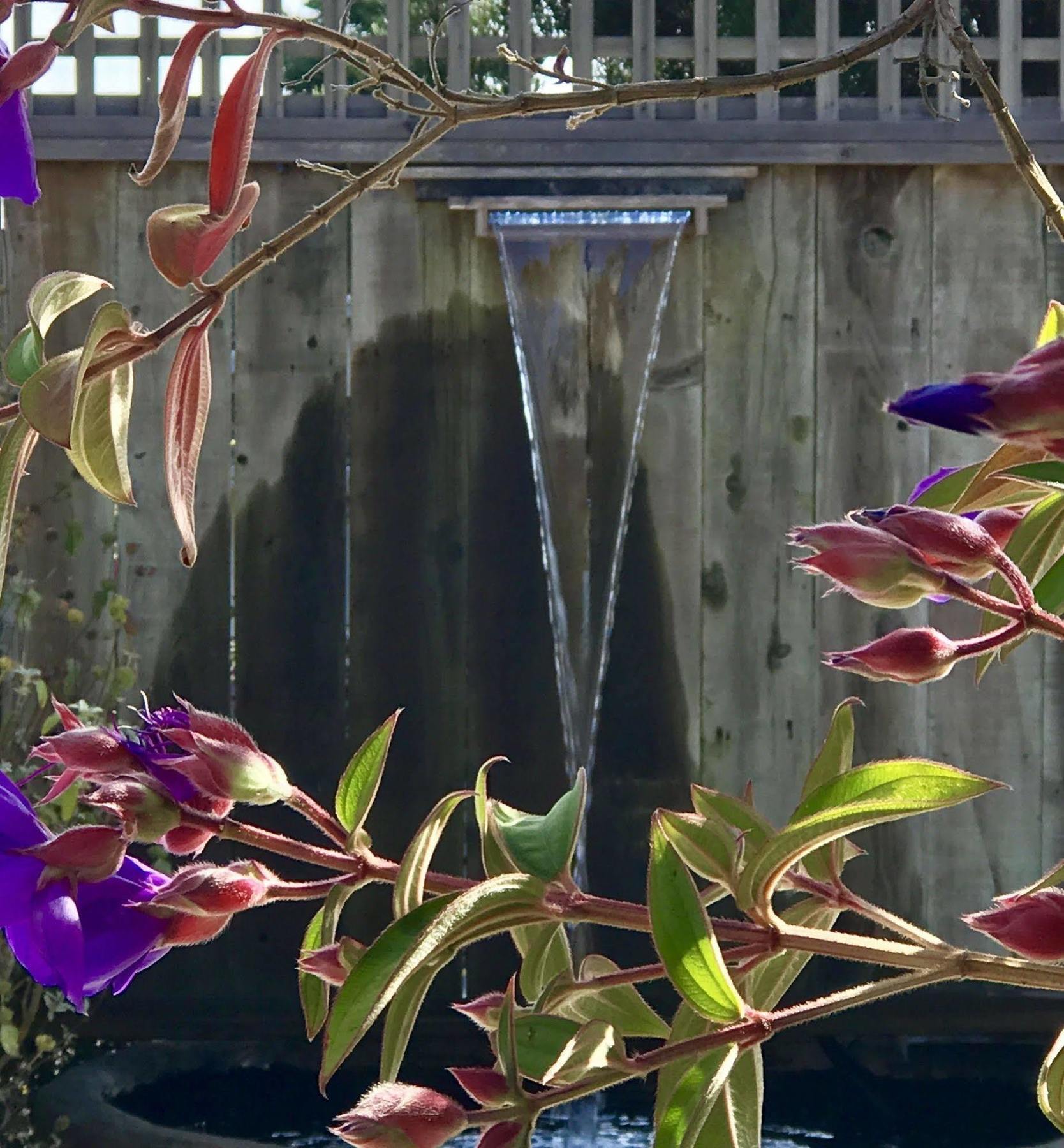 Bodega Bay Inn 3* Bodega Bay